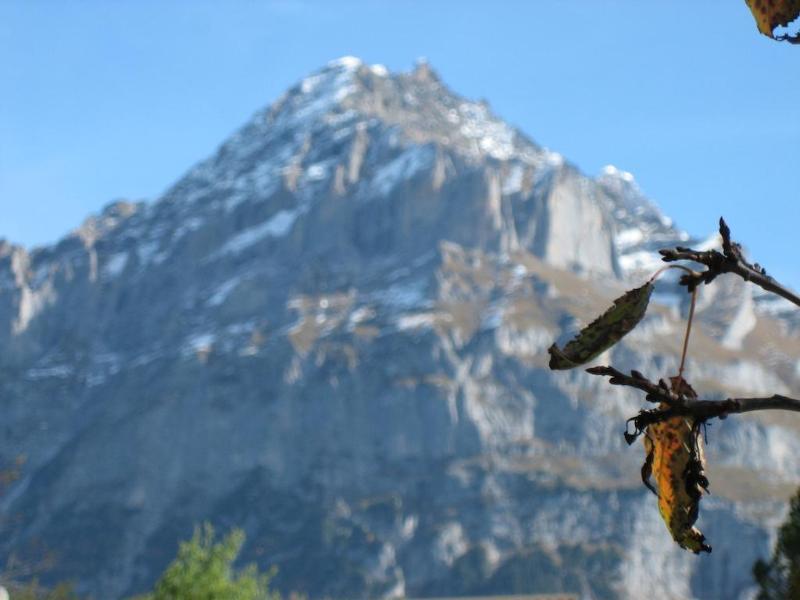 Hotel Gletschertal Grindelwald Exteriér fotografie